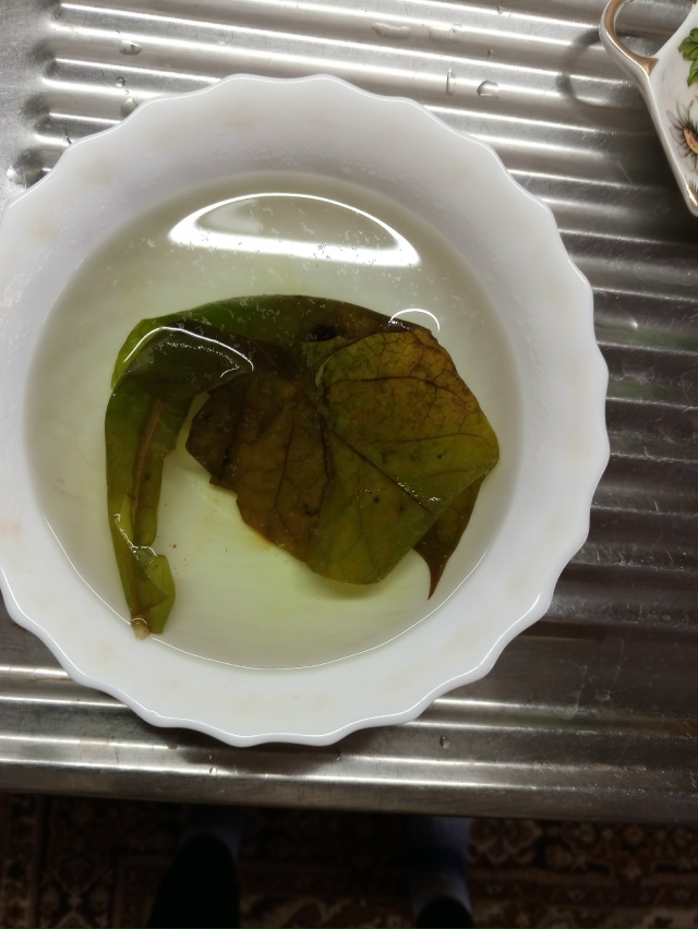 Добрый день.
Ошпарился холодом когда спал ночью на вто?...