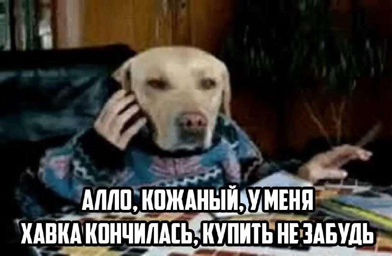Люди скоро начнут говорить со своими питомцами.
Учёные уверены, что искусственный интеллект поможет