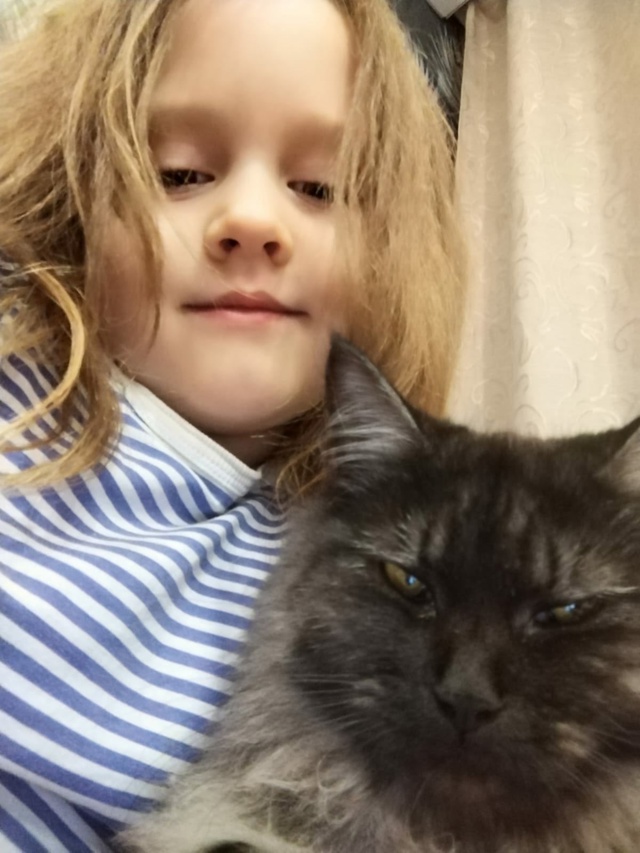 Здравствуйте. По ул. Заводской убежала кошка, к улице н...