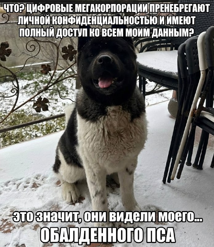 Утренняя подборочка