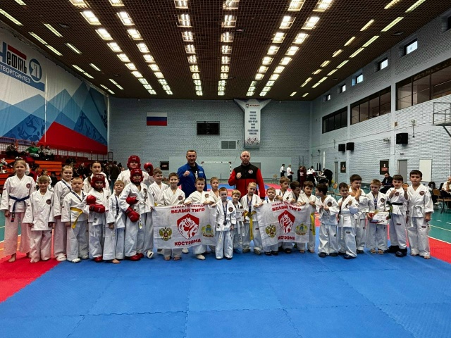 ? Волгореченские тхэквондисты вернулись с целой росс...
