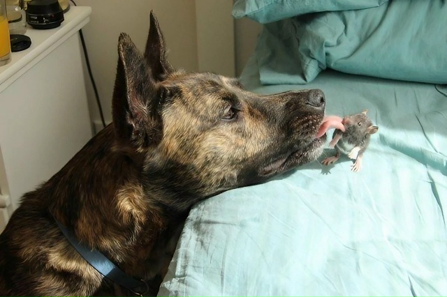 Подслушечники, а есть ли у Вас настоящие друзья?
И что ?...