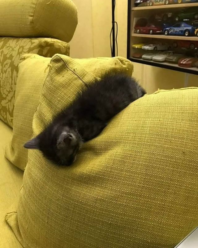 Где устал, там и упал😂