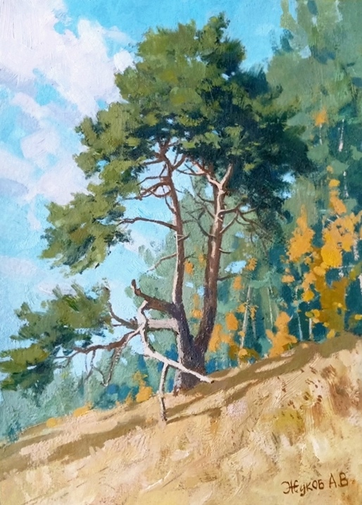 Окрестности Нижней Туры