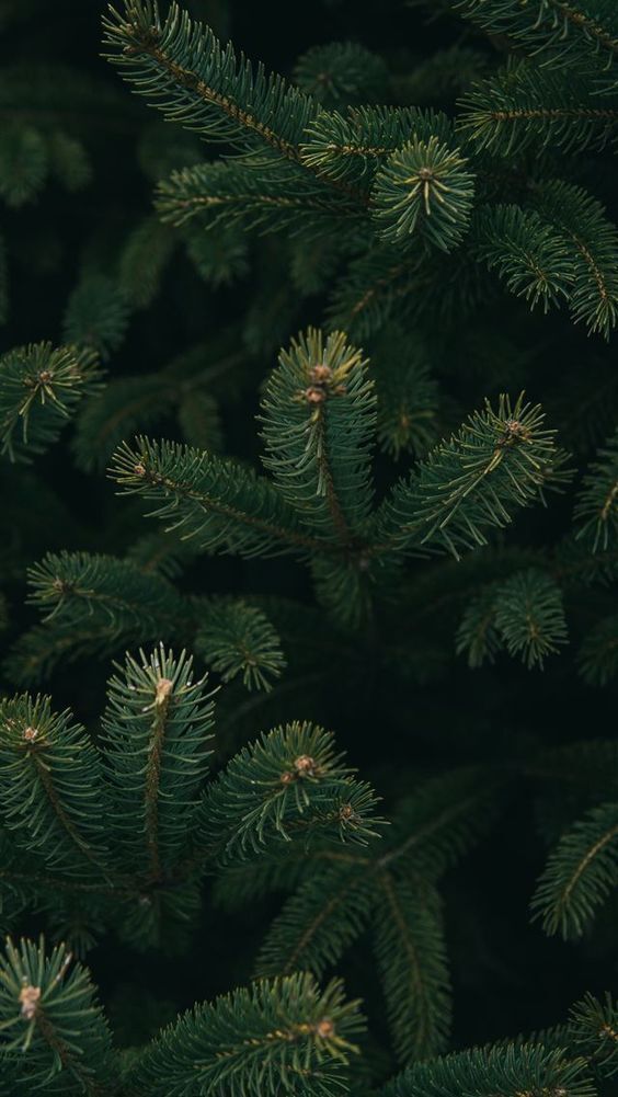 Главная удача в жизни — умение начинать всё сначала.