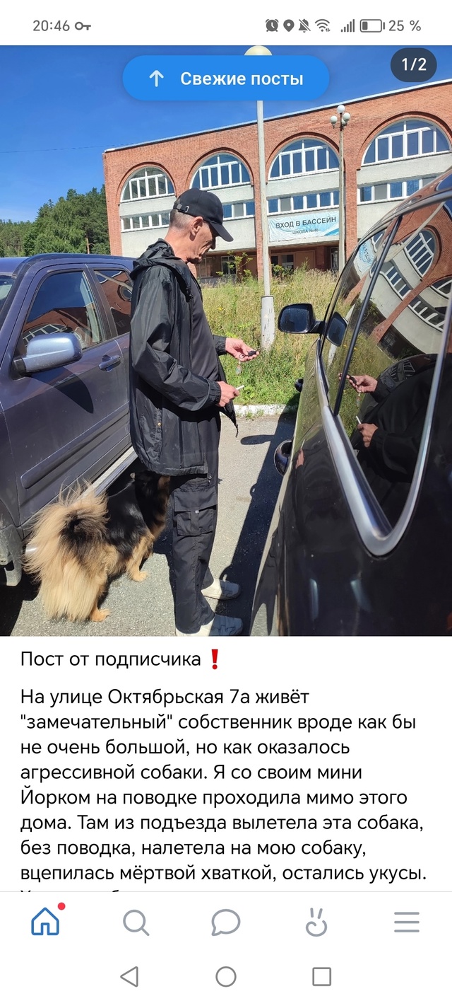 Наткнулась на данный пост в местном паблик, и возник во...