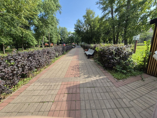 🌳“Красота требует заботы”: мэр Салавата о городском ...