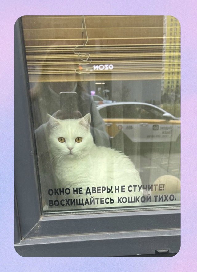 Достойна тихого восхищения: