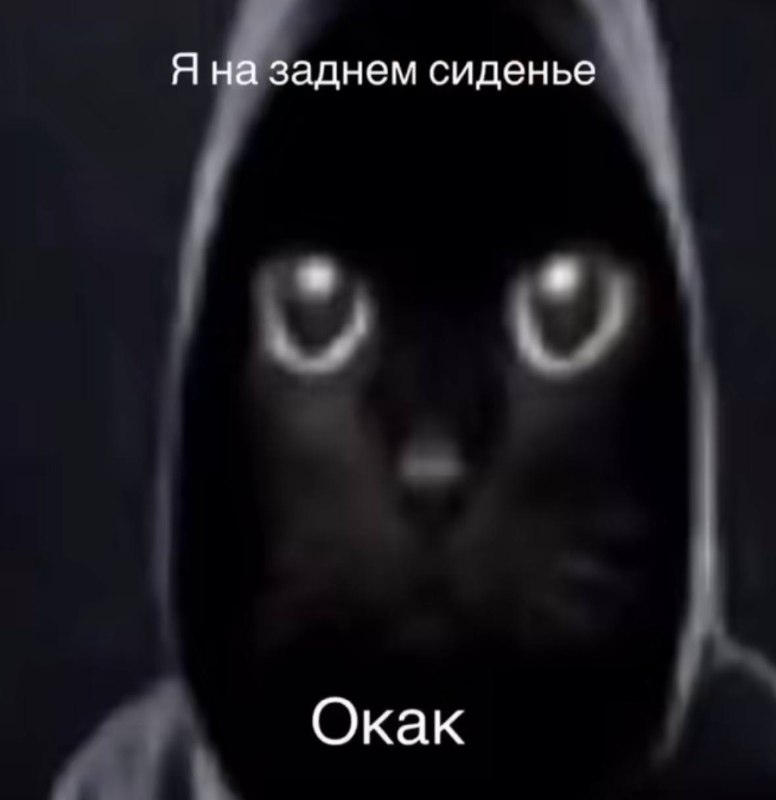 когда подруга рассорилась со своим парнем в машине, и он говорит, что ему неважно, разобьемся мы или