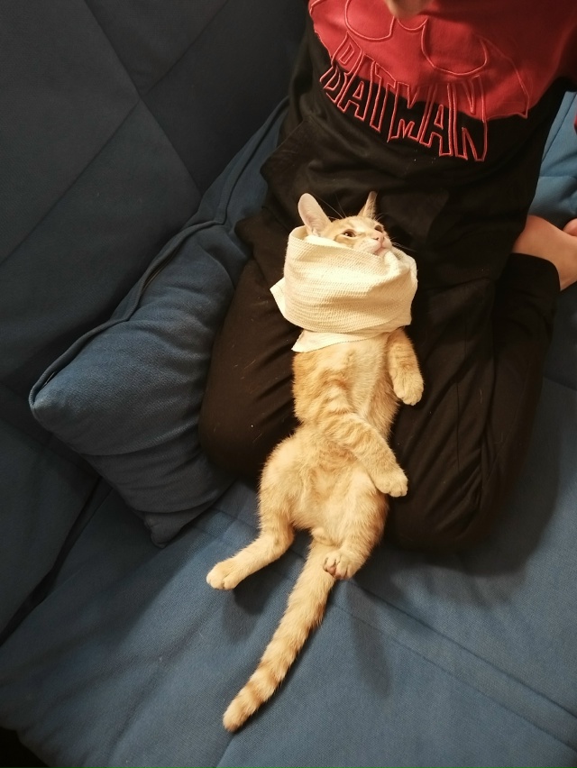 Вечером 9.11 в районе 1ой школы(ул. Трубниковская, 1ая, 2ая ...