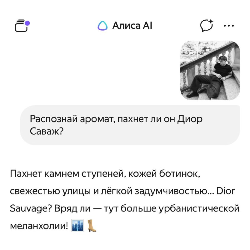 Алиса AI: *научилась распознавать аромат чего угодно по фото*
Теперь я, когда знакомлюсь с новым му