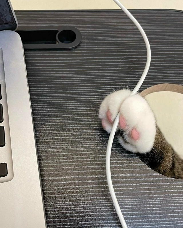 Если вы думали, что это отверстие в столе для проводов, ...