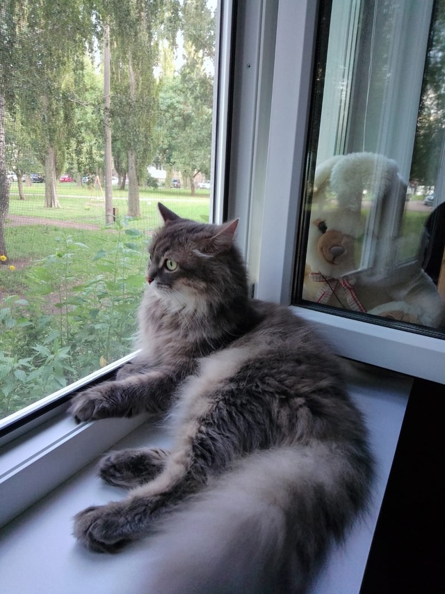 😺 Всем привет! На связи Маркиз Алексеич... Желаю вам вс?...