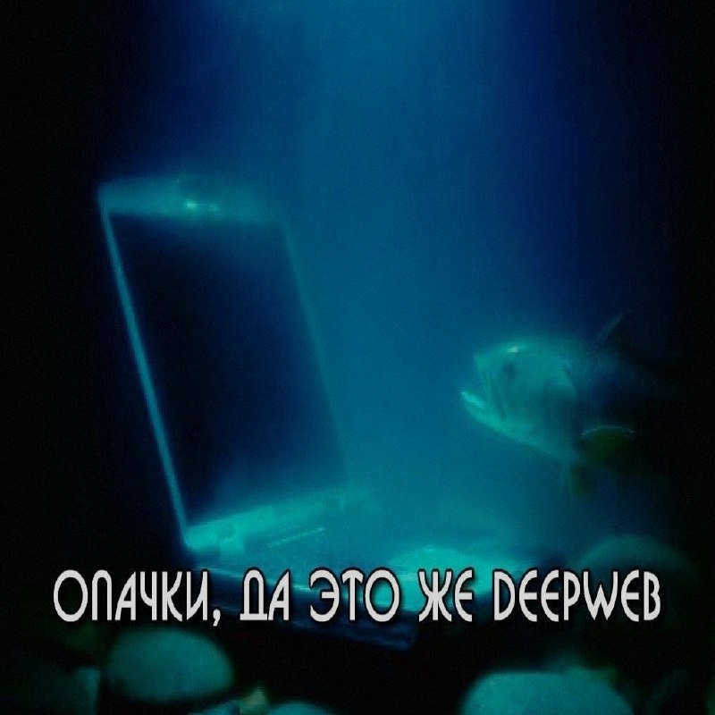 Ночная подборочка
Выходные, не спим