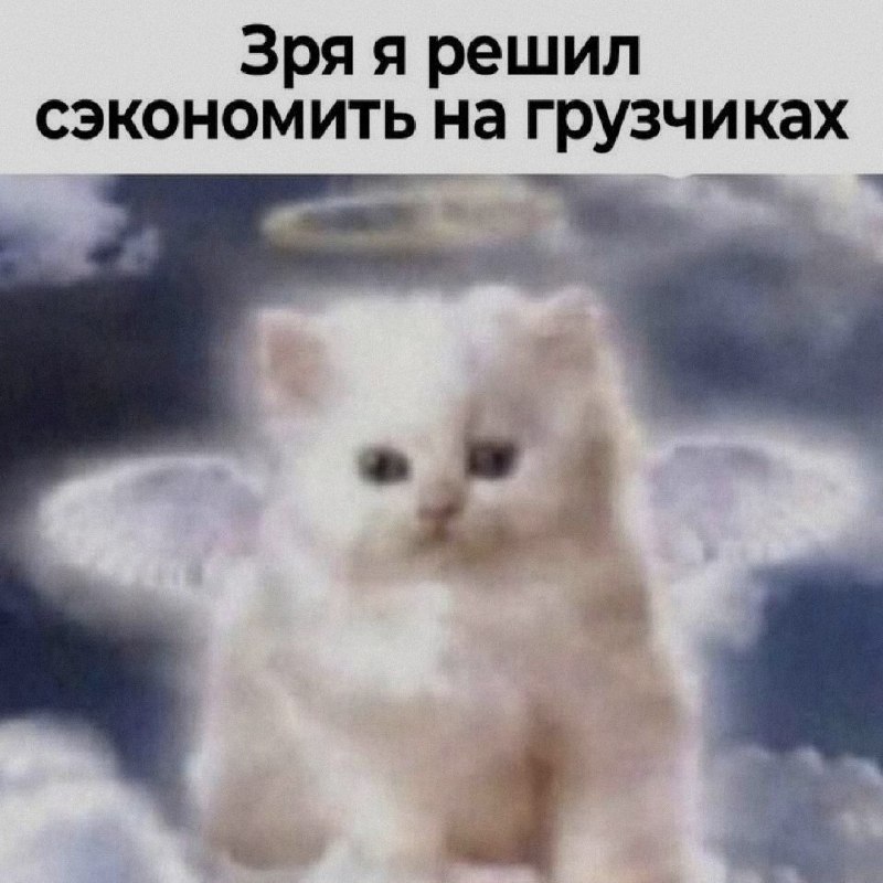 Ночная подборочка
Спать, режим