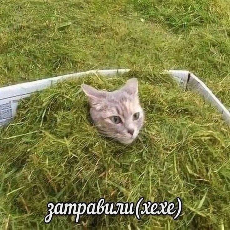 Утренняя подборочка