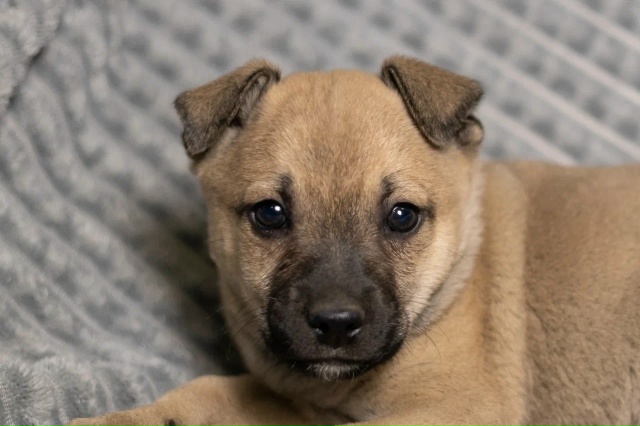 Очень милый малыш с немного грустными глазками и необы...