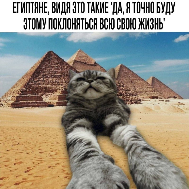 Утренняя подборочка