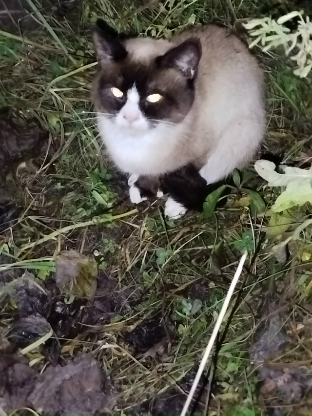 Анонимно. Видимо потерялся, сидит на одном месте. У вод?...