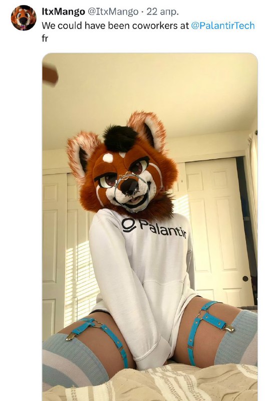 В Palantir, которая пилит софт для американских военных и спецслужб, работают фурри: компания активн
