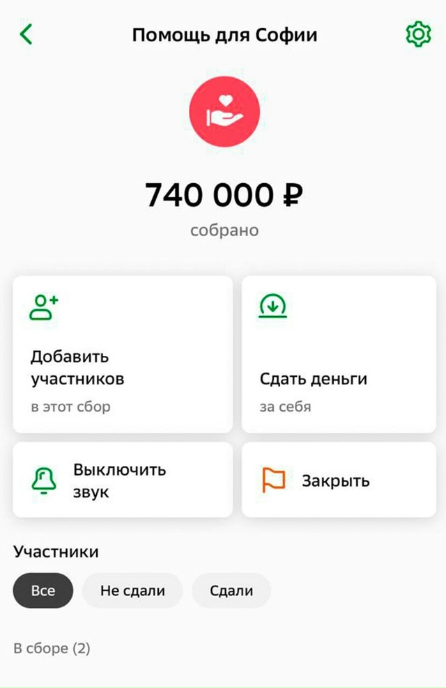 Жители Башкирии собрали для 6-летней Софии, чья мать ск?...