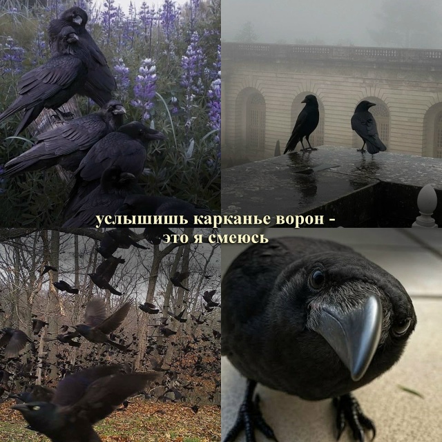 Мы сюда плакать приходим что ли...