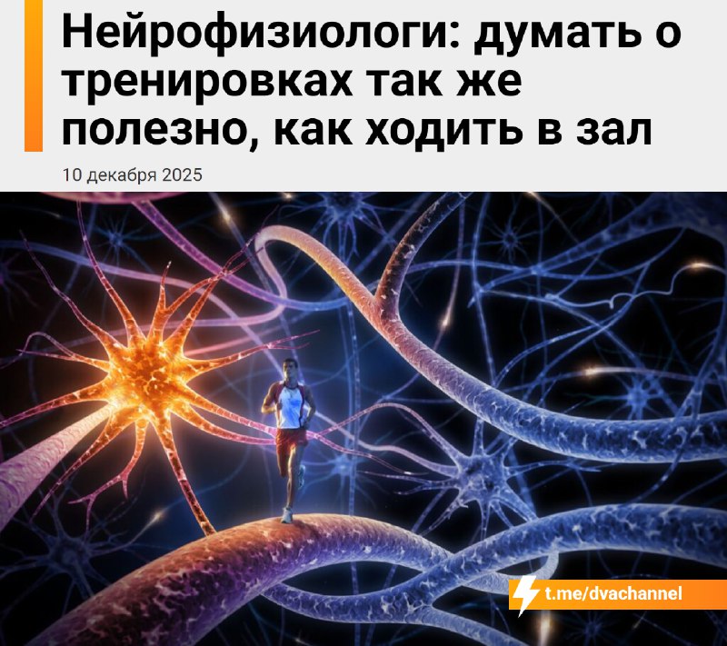 Думать о тренировках может быть так же эффективно, как ходить в зал, рассказали нейрофизиологи
Это