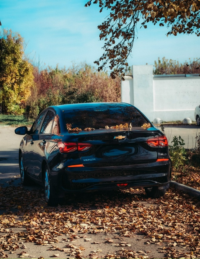 Продолжаем наблюдать нашу Воскресенское золотую осен?...