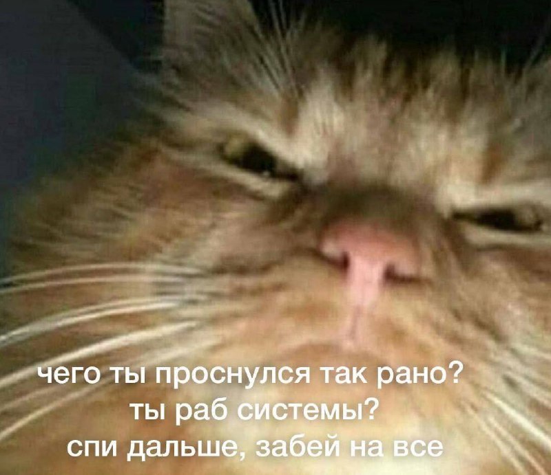 Утренняя подборочка
