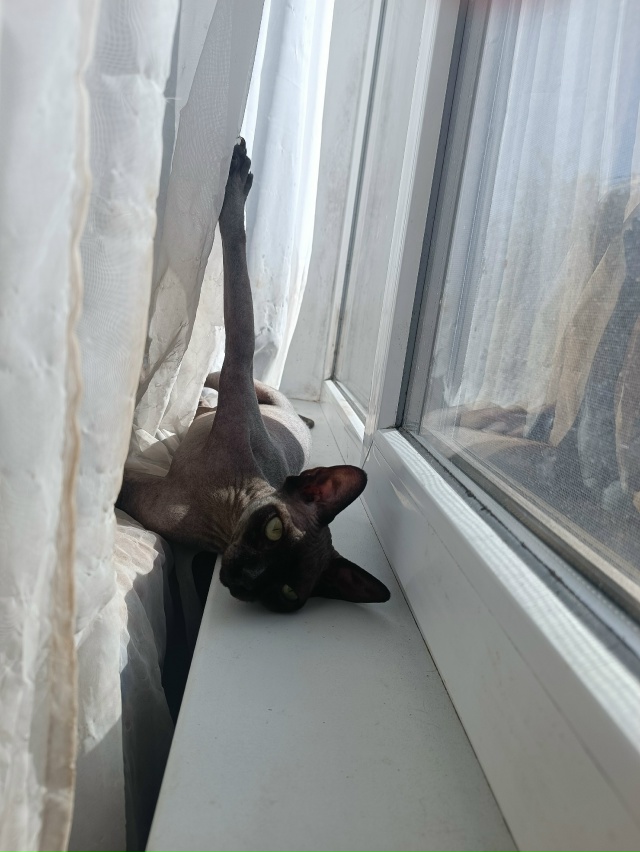 Туточки мы.