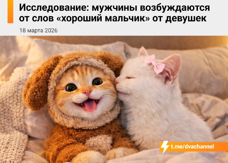 Мужики реально заводятся, когда слышат от своей тянки фразу «хороший мальчик» — работает система воз