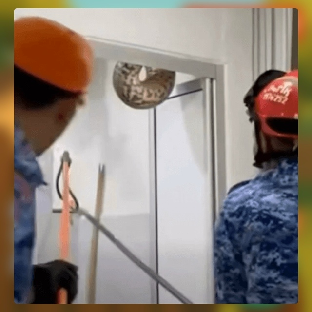 Безумные приколы
Когда ты живёшь в Малайзии, поход в ту...