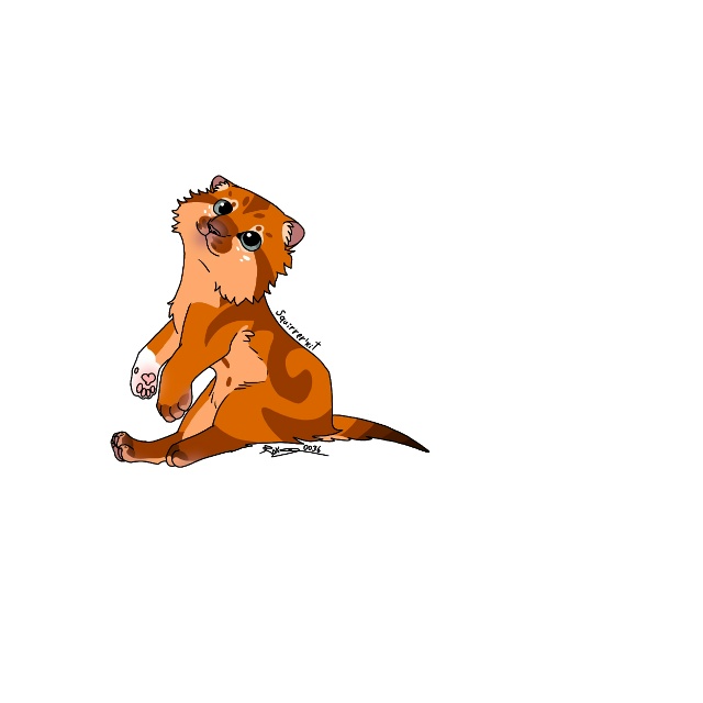 Белка в разные годы жизни
© rak0036
#KV_ZZ_ART