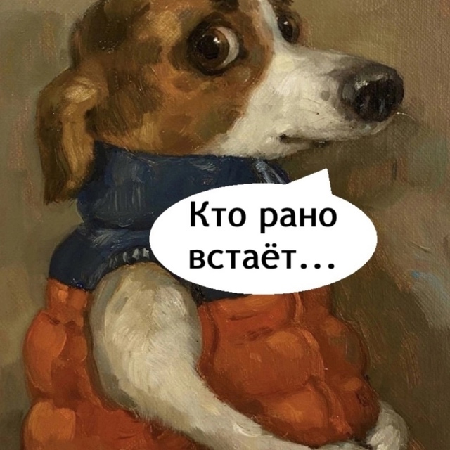 К сожалению