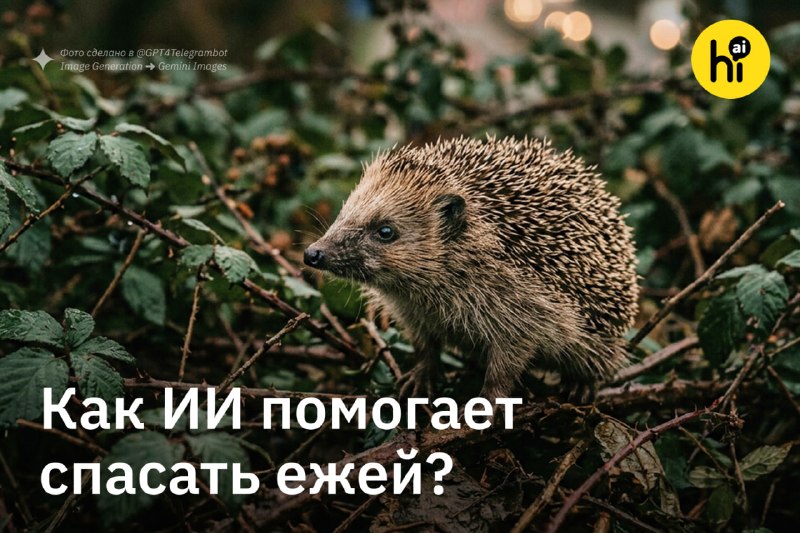 🦔 ИИ спасает ежей
С 2000 года численность ежей в сельских районах Великобритании упала почти на 75%