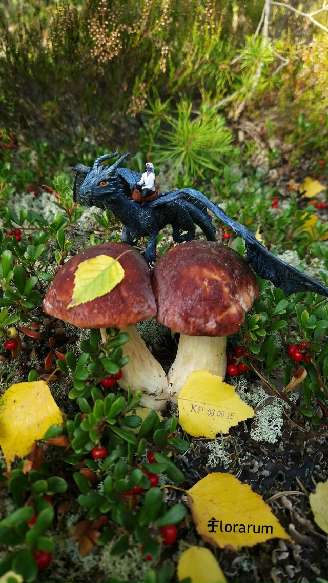 ✨ Пришло время подвести итоги конкурса фотографий «Ма...