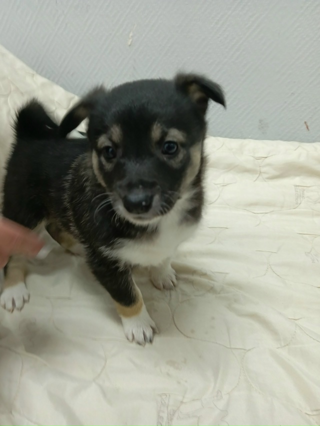 Приветствуем всех ещё раз!
Месяц назад мы нашли броше?...