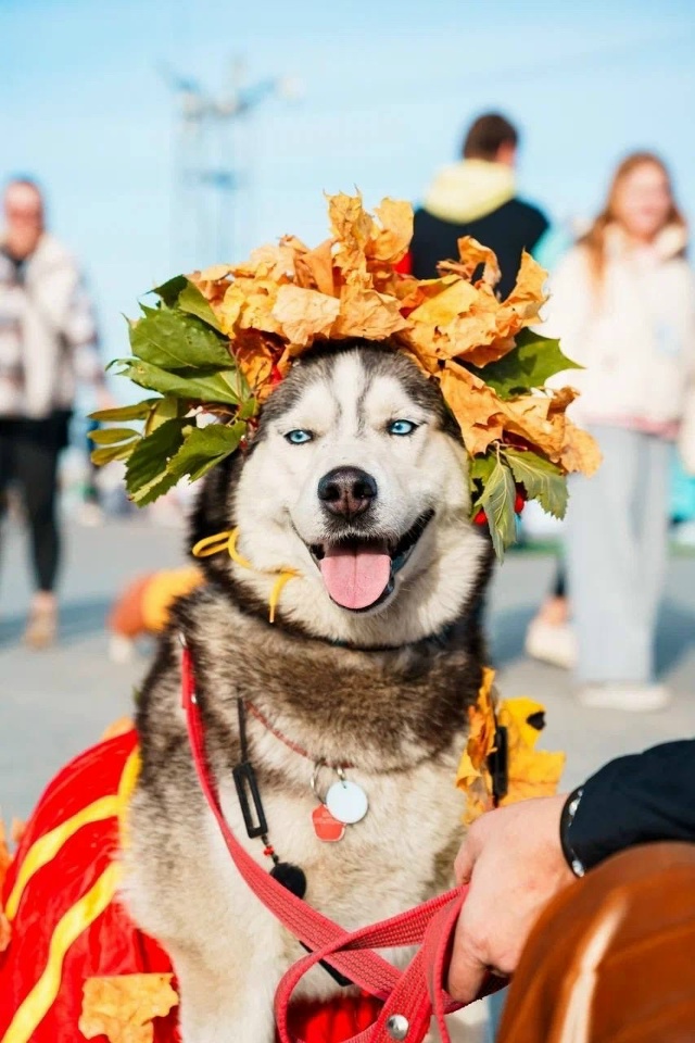 Как «Новые Люди» поддержали приюты❓
А было это по-на?...