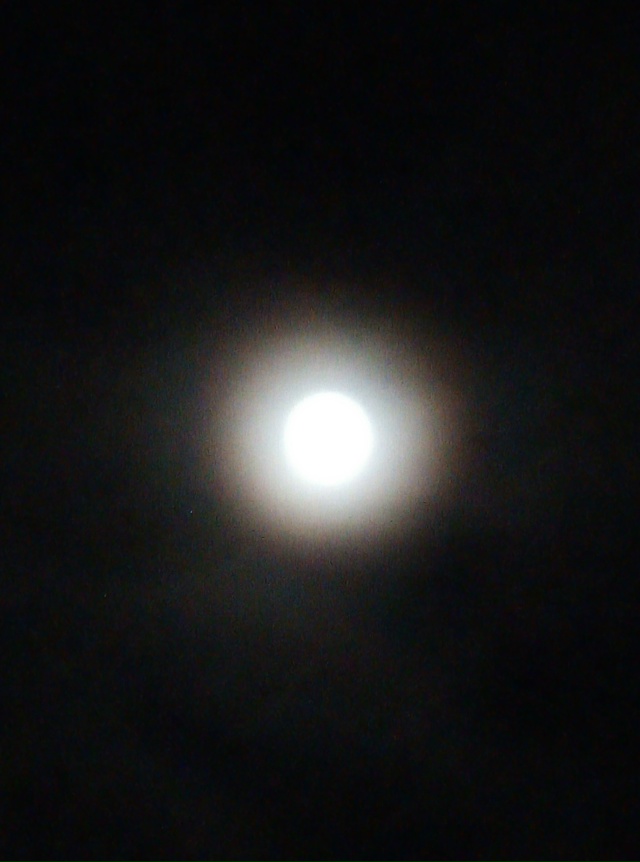 Такая вот сегодня луна 🌕
#Я_тебя_видел@podslushano_velsk