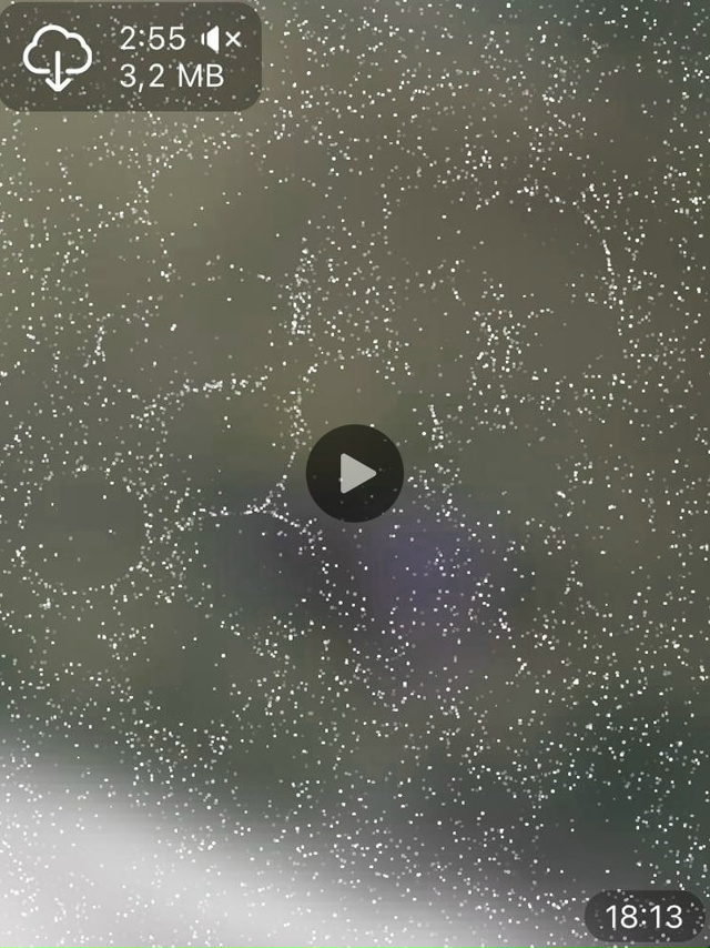 Трагедия у многоэтажки в Кургане
Жильцы услышали кри?...