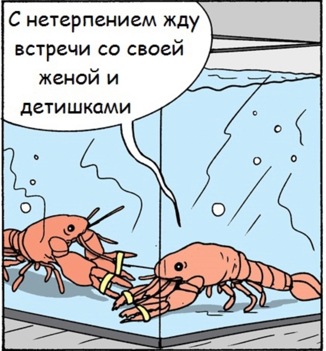 и все по новой...