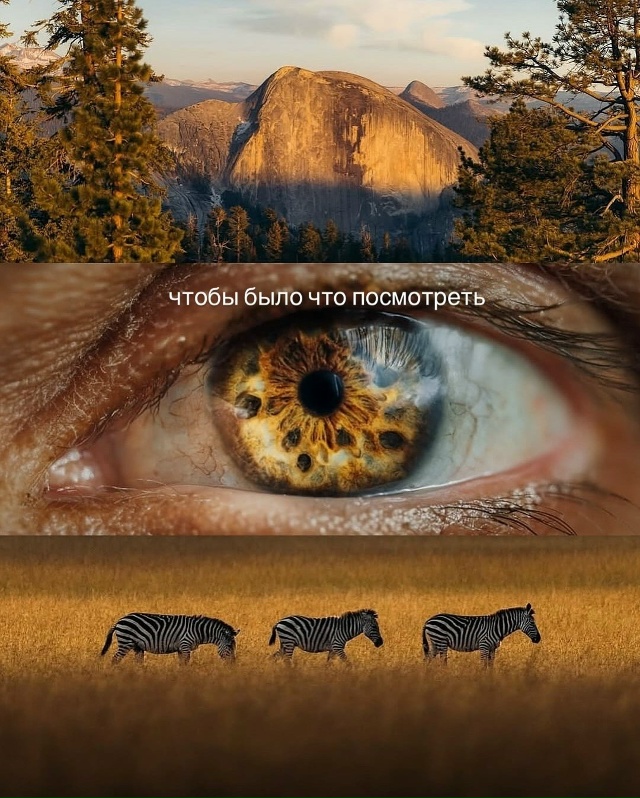 Однажды это случится