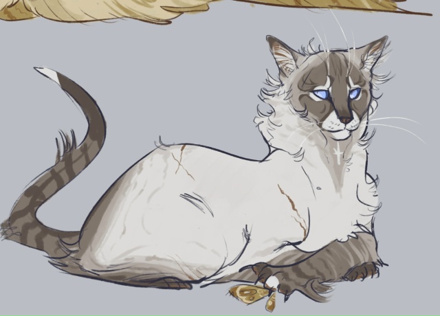 Мотылинка и Коршун
© cockatielfrenzi
#KV_ZZ_ART