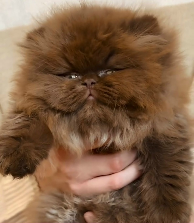 Какой милаш