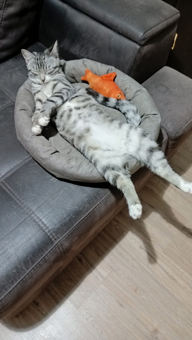 Наша любимица Йена 😻