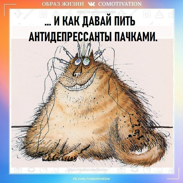 Так выходить или оставаться в зоне комфорта?