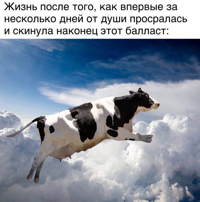 Черт возьми, как же это жизненно