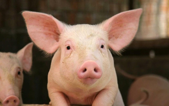 В Минсельхозе сообщили о восстановлении объёмов произ...