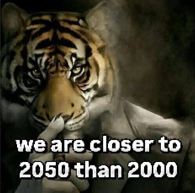 Утренняя подборочка