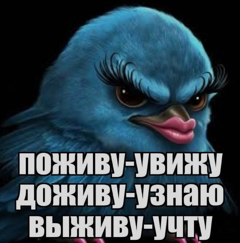 Ночная подборочка
Спать, режим